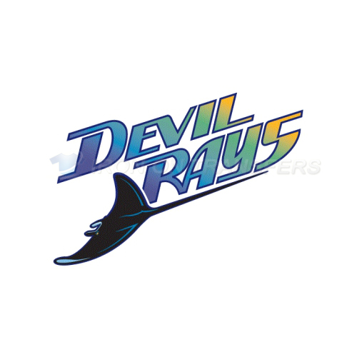Tampa Bay Rays Iron-on Stickers (Heat Transfers)NO.1950